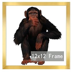 RUN HELIX 12x12 Frame, Horizontal and Vertical