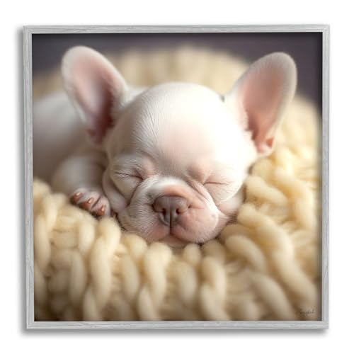 Stupell Industries Tiny Puppy Sleeping Framed Giclee Art by Roozbeh