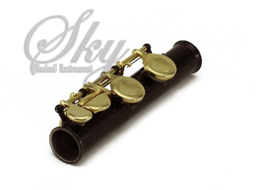 image for Sky Music Sky C Flute with Lightweight Case, Cleaning Rod, Cloth, Join