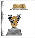 Decade Awards 1st Place Victory Trophy/First Place Silver V Award/Trophy | 7 Inch Tall