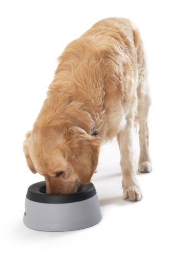 HUNTER Road Refresher 1,4 l, praktische reisbak voor honden, met anti-zwaapfunctie, grijs/zwart - Afbeelding 3