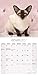 Siamese Cat Calendar - Calendars 2016 - 2017 Wall Calendars - Cat Calendar - Animal Calendar - Siamese Cats 16 Month Wall Calendar by Avonside