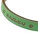 Custom Catch Personalized Dog Collar – Engraved Soft Leather in XS, Small, Medium or Large Size, ID Collar, No Pet Tags or Embroidered Namesthumb 4