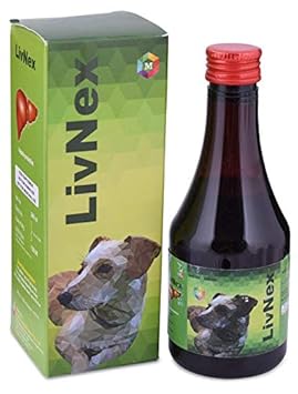 Medfly Healthcare LivNex Syrup for Digestion and Absorption of Food for Dogs and Cats