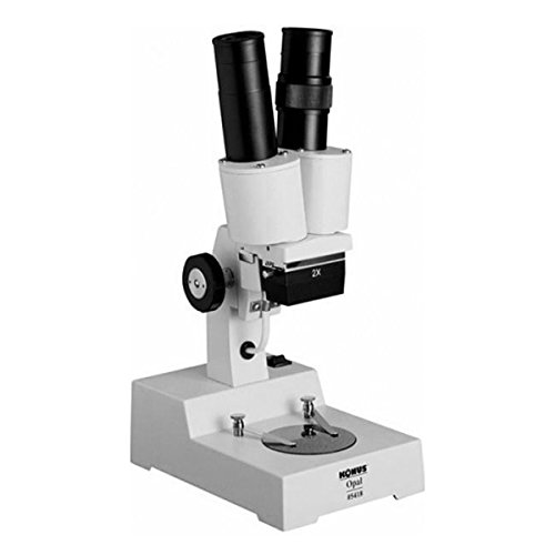 Dolphin Dispensers HN231-BK Blomus Toilet Brush Replacement Head, Black