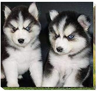 Your Personalised Photo Image Picture on Canvas Print Framed Ready to Hang Wall Art (40cmx40cm with Frame)