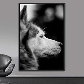 signwin Framed Canvas Wall Art Duotone Pupper Animals...