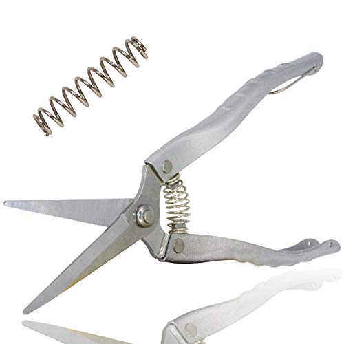 Pruning Shears Straight Tip Pruning Trimming Scissors Florist Scissors-Stainless Steel Ultra Sharp Multi-Purpose Hand Pruner Scissors for Garden Harvesting Fruits Vegetables, Trimming Flowers,Silvery