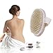 Bar5F Dry Body Brush - 100% Natural Bristles - Cellulite Treatment, Increase Circulation and Tighten Skin. (Pack of 3)