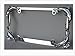 Dolphin License Plate Frame