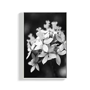 Canvas Wall Art for Living Room, Bedroom Plants Framed Canvas Prints for Home Decoration Ready to Hang - 16x24 inches