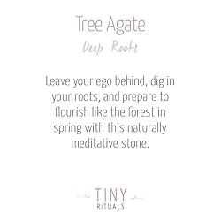 Tiny Rituals TREE AGATE ENERGY BRACELET