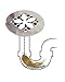 Shower Drain Hair Catcher (2 in a Pack)