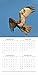 2019 Wall Calendar - Birds of Prey Calendar, 12x12 Inch Monthly View, 16-Month, Animals Theme, Includes 180 Reminder Stickers