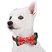 Blueberry Pet Box with Pack of 2 Handmade Dog Cat Bow Tie, Stay Festive Bowtie Set, 4