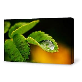 Canvas Wall Art for Living Room,Bedroom Home Artwork Paintings Life Theme Ready to Hang - 12x18 inches