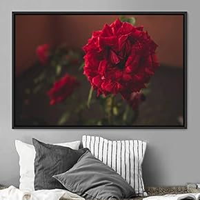 signwin Framed Canvas Wall Art Flora Snapshot Closeup...