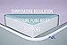 Two-inch Mattress Bed Topper - by MyPillow (Queen)