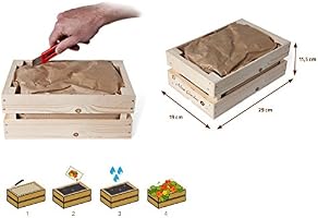 Kit de Cultivo Caja de madera - MiniGarden Girasol: Amazon.es: Jardín