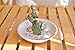 PUDDING CABIN Cactus Christmas Gifts for Women Cactus Ring Holder Dish Birthday Gifts for Women Girls Friends, Cactus Decor for Bathroom Nighstand, Wedding Valentine's Day Xmas Gifts Mothers Day Gifs