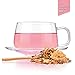 Tealyra - Orange Lemonade - Hibiscus - Eucalyptus - Lemongrass - Herbal Fruity Loose Leaf Tea Blend - VitaminsRich - Boost Immune System- 100% Natural – Hot and Iced - Caffeine-Free - 110g (4-ounce)