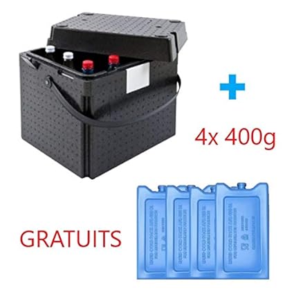 Contenedor isotérmico rígido BOX 31 litros: Amazon.es: Industria, empresas y ciencia