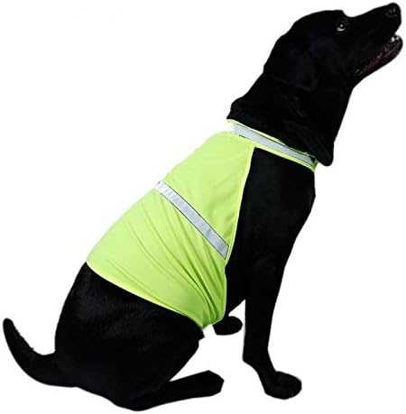 Doggie Style Store Jaune Fluorescent Haute Visibilite Haute Visibilite Chien Pour Animal Domestique Chat De Securite Gilet Reflechissant Haute Nuit Veste T Shirt Amazon Fr Animalerie