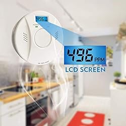 Smoke Detector and Carbon Monoxide Detector co2