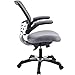 Modway Edge Mesh Back and Mesh Seat Office Chair In Black With Flip-Up Arms in Gray