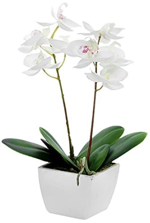 Country Baskets Artificial Orchid Potted Mini Cream Fabric - 