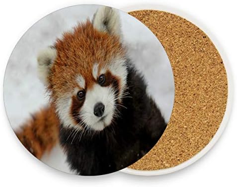 Coasters for Drinks,Red Panda In Snow Ceramic Round Cork Trivet Heat Resistant Hot Pads Table Cup Mat Coaster-Set of 2 Pieces