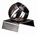 Kenroy Home 20506BS Spot 1 Light Accent Lamps, Small, Brushed Steel