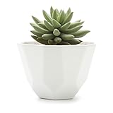 T4U 5 Inch Ceramic Geometric Pattern Semi Luster Surface succulent Plant Pot/Cactus Plant Pot Flower Pot/Container/Planter Matt white