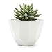 T4U 5 Inch Ceramic Geometric Pattern Semi Luster Surface succulent Plant Pot/Cactus Plant Pot Flower Pot/Container/Planter Matt white