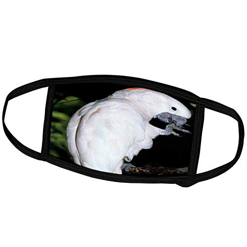 3dRose Face Mask Large, Varies