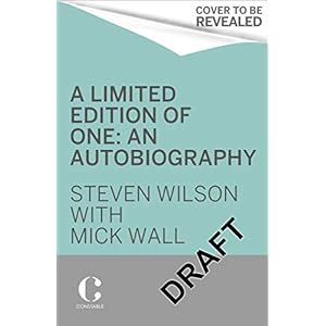Limited Edition of One: How to Succeed in the Music Industry Without Being Part of the Mainstream