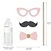 Big Dot of Happiness Two Much Fun - Girl 2nd Birthday Party Photo Booth Props Kit 20 Count