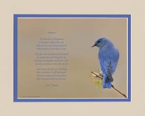 Amazon.com: Personalized Friend Gift. Bluebird Photo with this