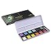 Finetec Watercolor Metal Tin, 12-Color Pearlescent Rainbow Set (F1200)