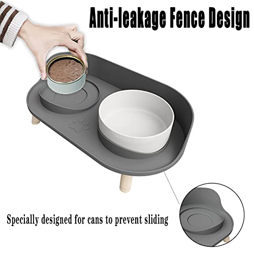 Elevated Cat Food Bowls with NoSpill Design, Raised Ceramic Cat Dog