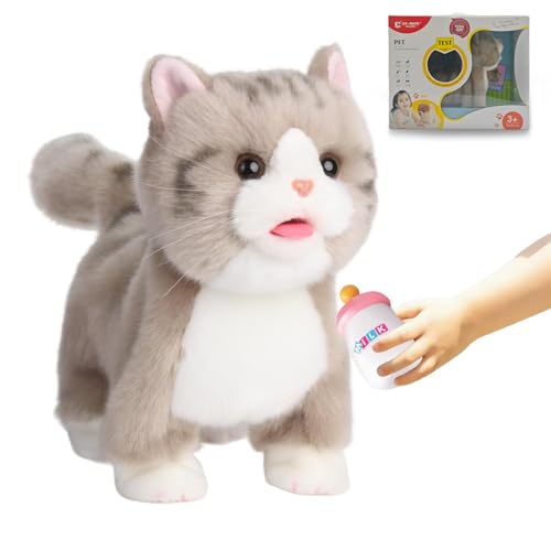 Electric Silver British Shorthair Cat