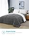 Equinox International, Two Way Plush Microfiber Fill All-Season Charcoal Gray/White Quilted Comforter, Goose Down Alternative - Reversible Duvet Insert Set - (350 GSM) (Queen 88 x 88 Inches)