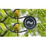 Bushnell-Engage-Binoculars-Matte-Black