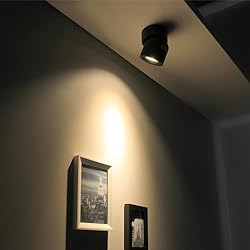 Aisilan LED Ceiling Spot Light Indoor Dimmable 2
