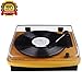 Belt-Drive Wood Turntable 3 Speed Retro&Modern DJ Vinyl LP Records Player with Stereo Speakers Supporting Vinyl to MP3 Converter (GT201)