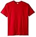 Hanes Men's big-tall Men's Beefy T-shirt-d