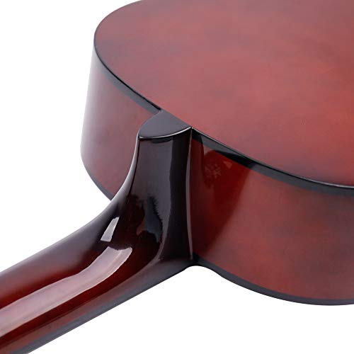 3 Classical+Acoustic+Beginners+Strings+Starter