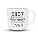 Triple Gifffted Worlds Best Grandparents Coffee Mugs for Grandma and Grandpa Gifts Ideas From Grandkids, Grandchildren, New First Time Grandparent Announcement Christmas Valentines Day, Ceramic 380ml