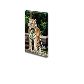 Canvas Prints Wall Art - Tiger Wu Tang | Modern Wall Decor/Home Decoration Stretched Gallery Canvas Wrap Giclee Print. Ready to Hang - 18" x 12"