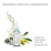 GIRL+HAIR Restoring Scalp Treatment Balm (3.4 floz) Instant Soothe & Anti-itch with Tea Tree Oil, Scalp Care for Hair Growth, All Hair Types